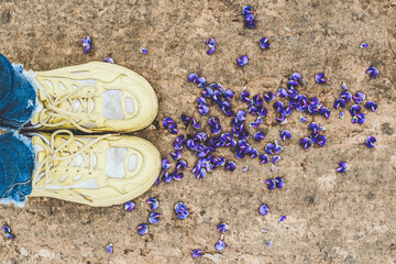 Legs in yellow shoes is standing on the petals of the lupine