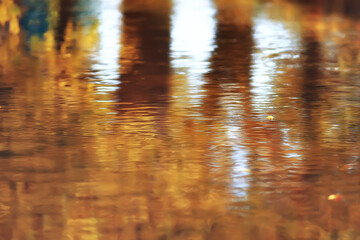 landscape autumn pond / yellow trees in the park near the pond, landscape nature of October autumn
