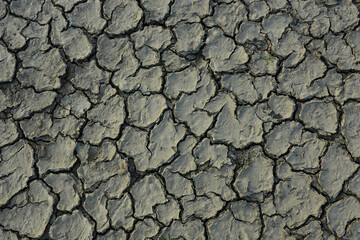 Brown dry soil background At the top view