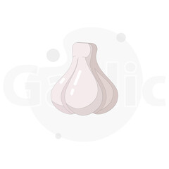 Garlic isolated vector flat illustration