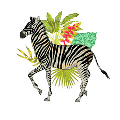 Fototapeta na wymiar Vector with watercolor effect cute realistic illustration of zebra with tropical background of tropical flowers and leaves