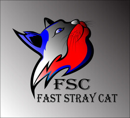 fast stray cat
