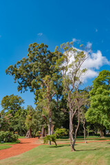 Cityscape of modern and old Buenos Aires with business and living in Palermo district, beautiful nature, parks and traditional cultural architecture at sunny day and blue sky, Argentina, summer