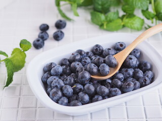 とれたてフレッシュ ブルーベリー素材