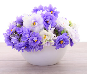 Violets beautiful flowers in basket.