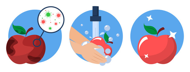 Hands washing dirty apple and it becomes clean vector isolated. Idea of health and hygiene. Cleaning food from bacterium, protection from the virus disease.
