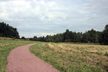 path in the meadow leading to the forest