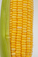 Yellow fresh corn texture