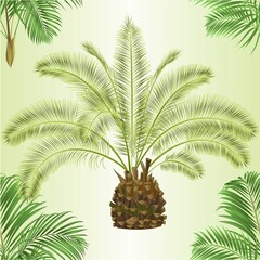 Seamless texture decoration palmae date and palm house plant  tropical plant natural on a white background watercolor vintage vector illustration editable hand drawn