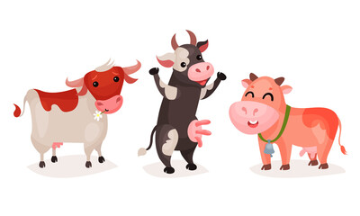 Funny Spotted Cow with Horns Grazing Vector Set