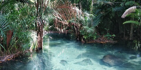 Natural pool 