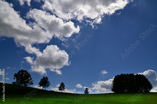 8月美瑛マイルドセブンの丘と夏雲 Wall Mural Wallpaper Murals 大西 親文 8月美瑛マイルドセブンの丘と夏雲 Wall Mural Wallpaper Murals 大西 親文