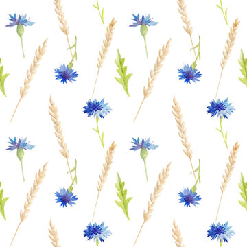 Watercolor seamless pattern. Hand painted cornflowers and ears of wheat.