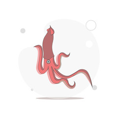 Squid isolated vector flat illustration on white