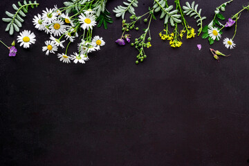 Wild fresh herbs and flowers for tea or medicine