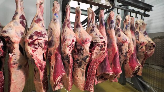 Beef carcasses hanging on hooks in a meat factory
