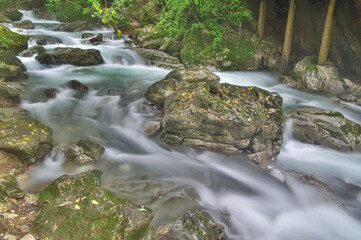 Early autumn scenery of Hubei Shennongjia National Geopark Scenic Area, China