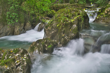Early autumn scenery of Hubei Shennongjia National Geopark Scenic Area, China