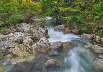 Early autumn scenery of Hubei Shennongjia National Geopark Scenic Area, China