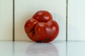 Four accrete red tomatoes lie on white table, it's freak of nature. Homegrown vegetables is good...