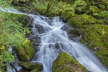 Autumn scenery of Hubei Shennongjia National Geopark Scenic Area, China