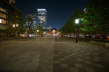 Beautiful night view in the big city, Tokyo, Japan.