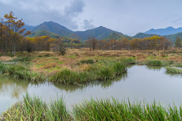 Autumn scenery of Hubei Shennongjia National Geopark Scenic Area, China