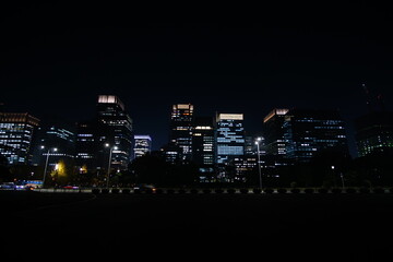 Obraz premium Beautiful night view in the big city, Tokyo, Japan.