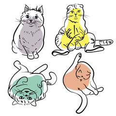 set of funny cartoon cats