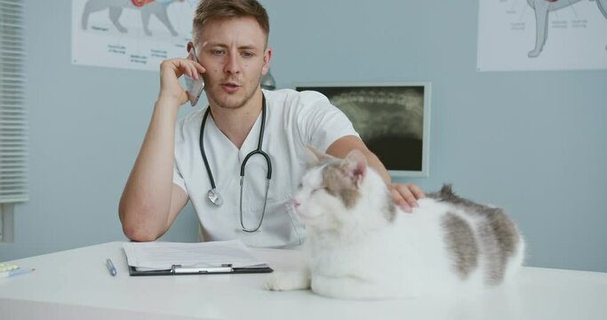 Close up of cat laying on veterinary examination table. Male veterinarian in medical uniform stroking cat while having conversation on smartphone. Concept of pets care, veterinary, healthy animals.