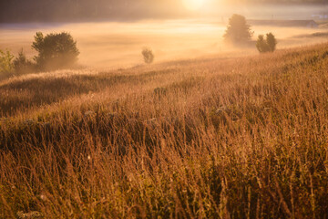 Obraz premium autumn landscape with fog