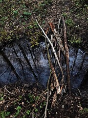 Processed with VSCO with u1 preset