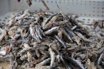 Anchovies are fried in vegetable oil in a pan.