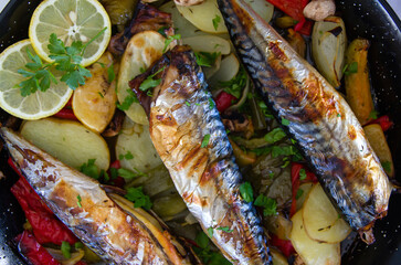 Oven roasted mackerel