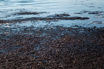 Dark smelly waste on the water surface. Ocean pollution, environmental disaster. Nobody