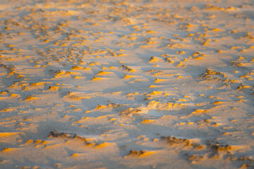 Abstract view of natural sand dune formation at the beach. Curly sand wave pattern closeup. Beautiful sandy background. Nobody