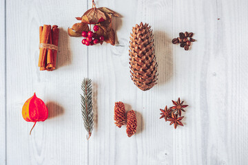 Christmas composition. Flat lay made of spruce branch, pine cone,viburnum,physalis,cinnamon sticks,star anise,coffee beans on white wooden background with copy space. Concept of winter holidays