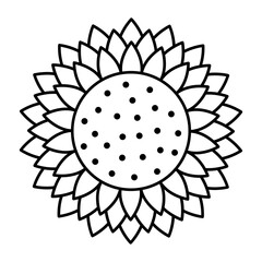 Sunflower vector cartoon icon for print design. Vector illustration flower on white background. Isolated cartoon icon sunflower.