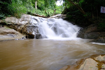 Obraz premium waterfall in the forest and green nature wallpaper background