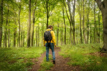 Obraz premium Male backpacker walking through a wooded forest,