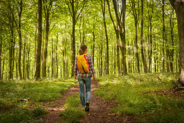 Obraz premium woman backpacker walking through the woods, rear view.