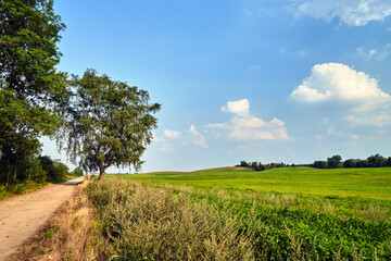 rural landscape with a gravel road between arable fields after the harves