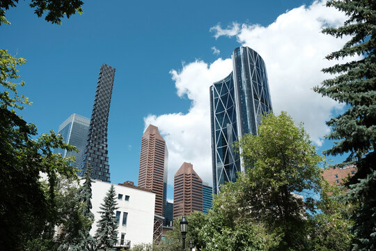 Urban City Skyline with Tall Towers