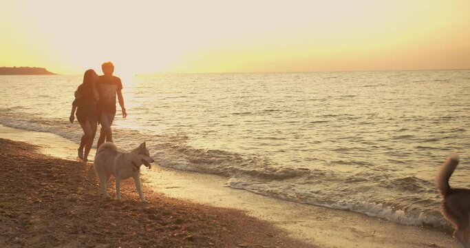 young caucasian couple walking on beach with siberian husky dogs during beautiful sunset or sunrise. Playing with dogs. Pets are the members of family concept