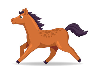 Mustang horse animal standing on a white background