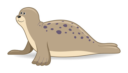 Seal animal on a white background
