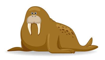 Walrus animal standing on a white background