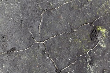 Obraz premium Texture of a tar mat on a beach from an oil spill