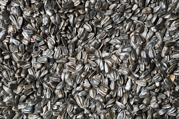 Sunflower seeds as a very stylish background of natural products of beautiful color.