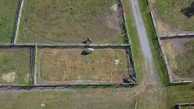 Direct slow moving overview of horse farm in New England